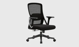Task & Desk Chair