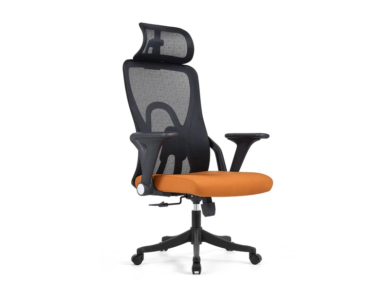 Ergonomic Mesh Office Chair with Adjustable Headrest &ndash; 2428A