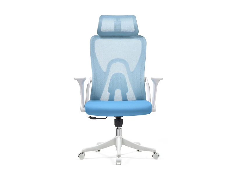 Ergonomic Mesh Office Chair with Adjustable Headrest &ndash; 2428A