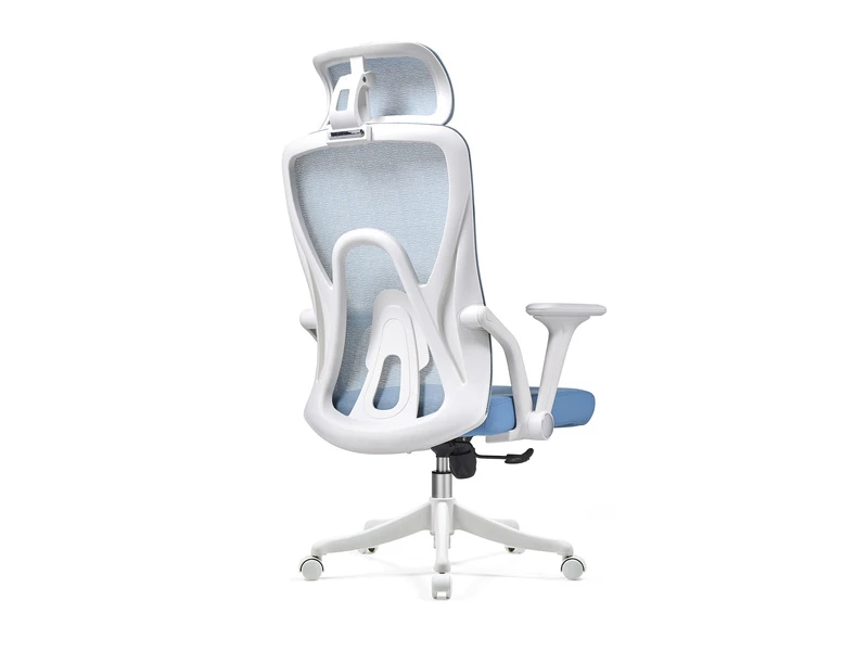 Ergonomic Mesh Office Chair with Adjustable Headrest &ndash; 2428A