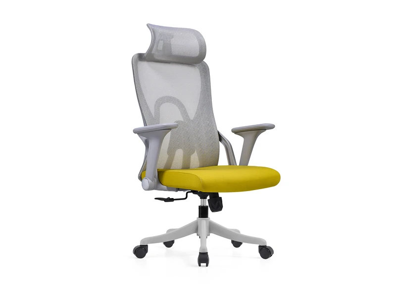Ergonomic Mesh Office Chair with Adjustable Headrest &ndash; 2428A