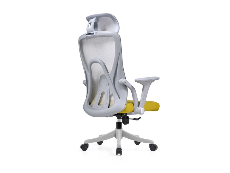 Ergonomic Mesh Office Chair with Adjustable Headrest &ndash; 2428A