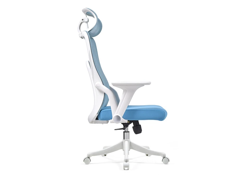 Ergonomic Mesh Office Chair with Adjustable Headrest &ndash; 2428A