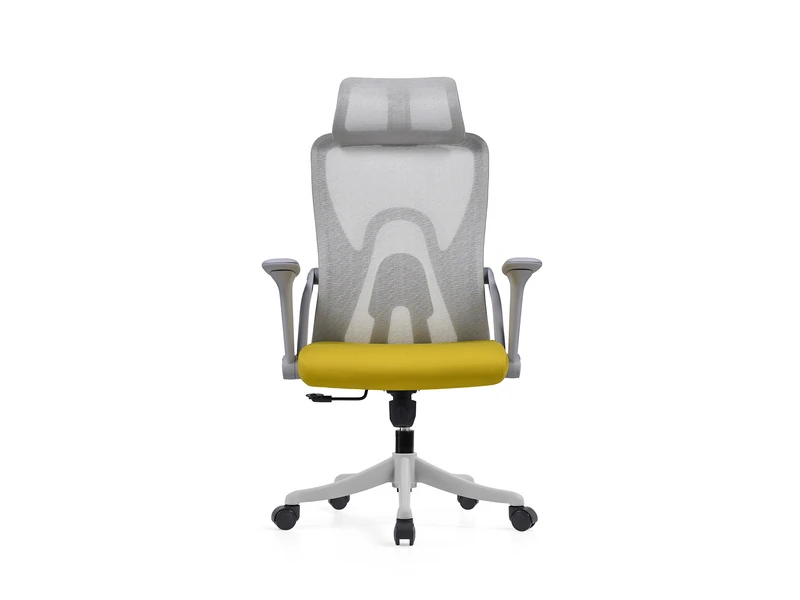 Ergonomic Mesh Office Chair with Adjustable Headrest &ndash; 2428A