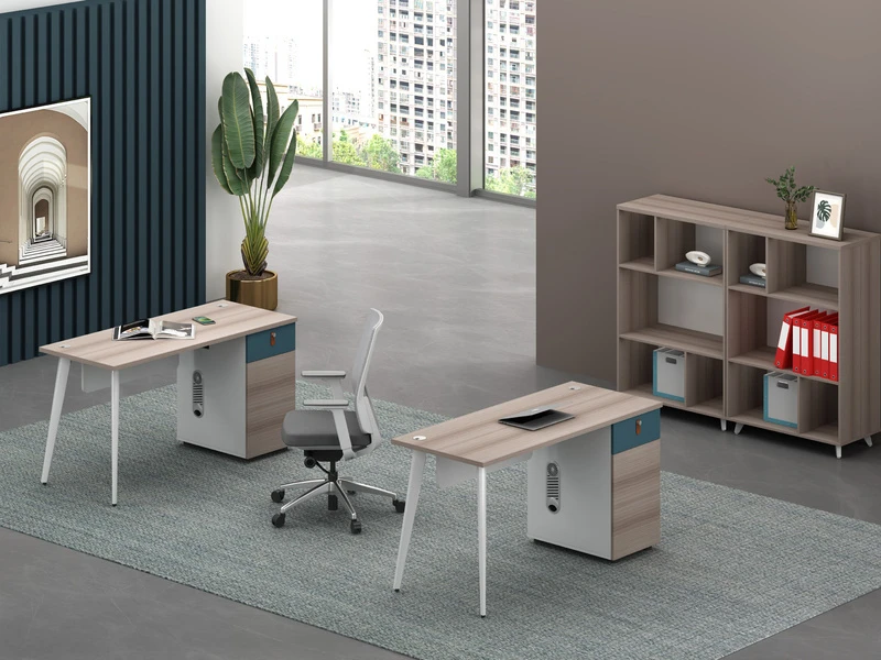 Modern Computer Desk with Side Cabinet - LP-A0912