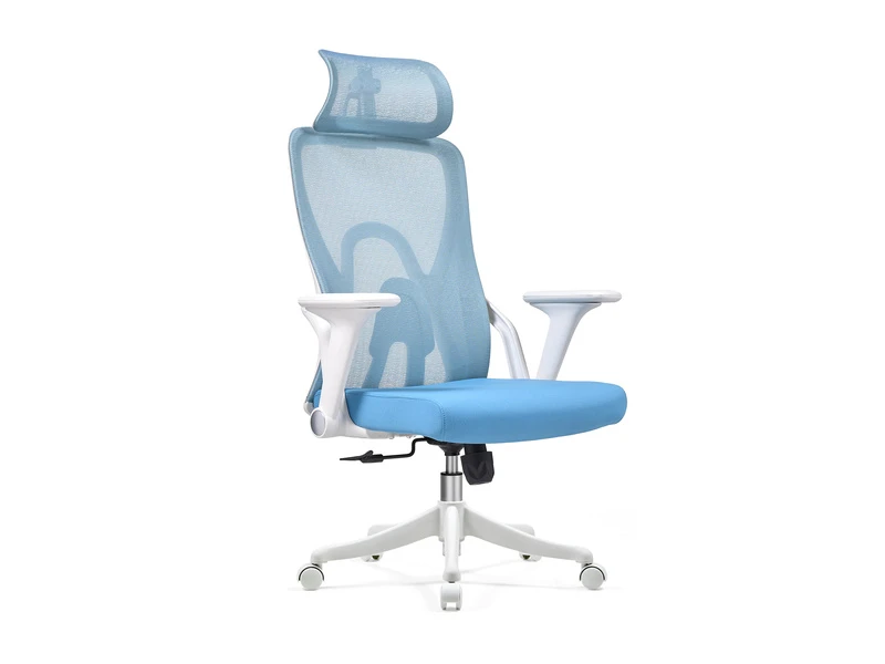 Ergonomic Mesh Office Chair with Adjustable Headrest &ndash; 2428A