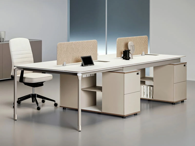  Modern Executive Office Workstation Desk with Storage Cabinet