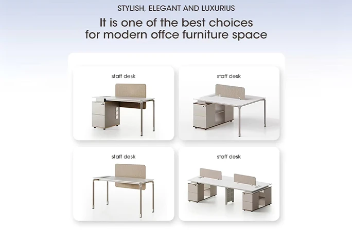  Modern Executive Office Workstation Desk with Storage Cabinet