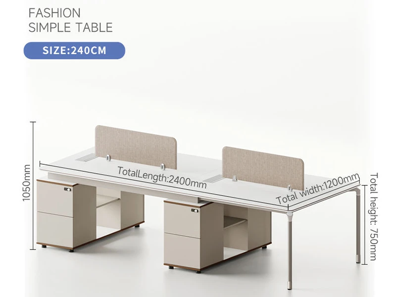  Modern Executive Office Workstation Desk with Storage Cabinet