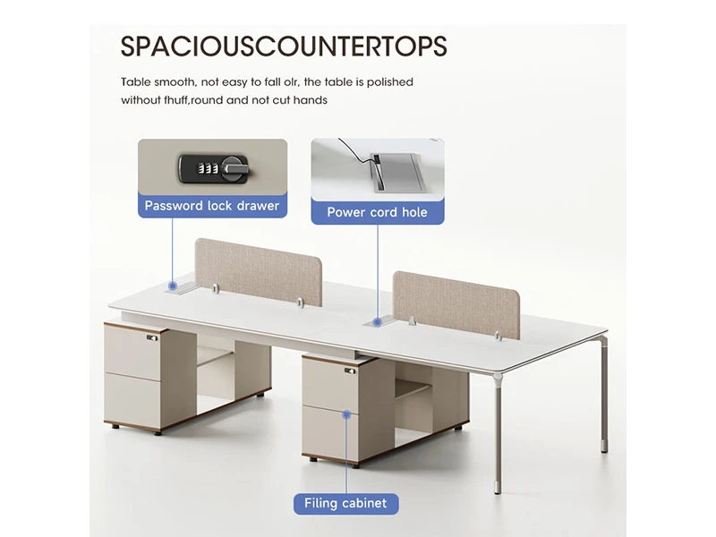  Modern Executive Office Workstation Desk with Storage Cabinet