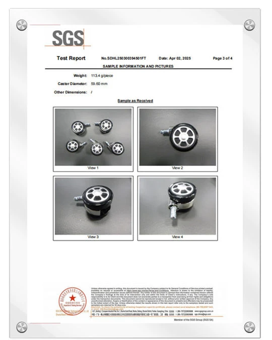 Caster SGS Certificate