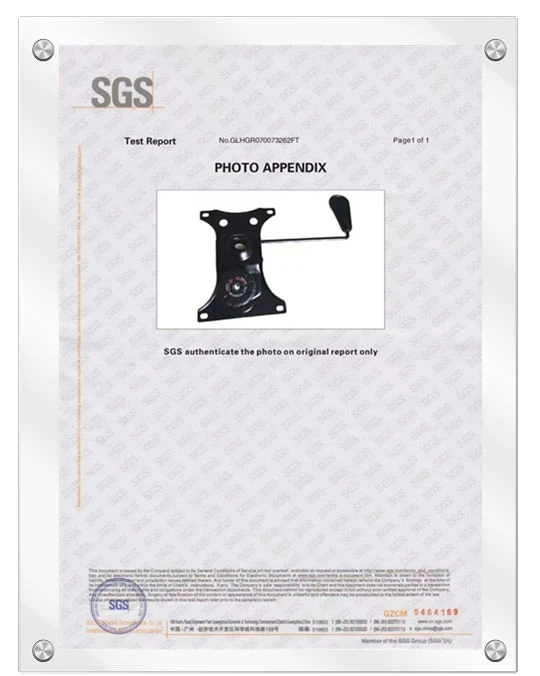 Mechanism SGS Certificate