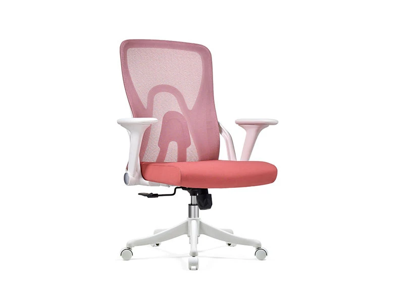 Mid-Back Ergonomic Office Chairs & Desk Seating