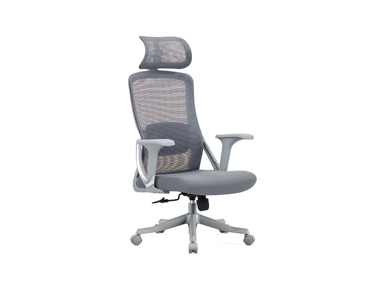 Task Chair with 2D Headrest | Standing Desk Office Chair