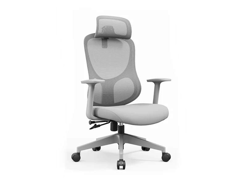 Multi functional Ergo Task Chair for Office Furniture Distributor
