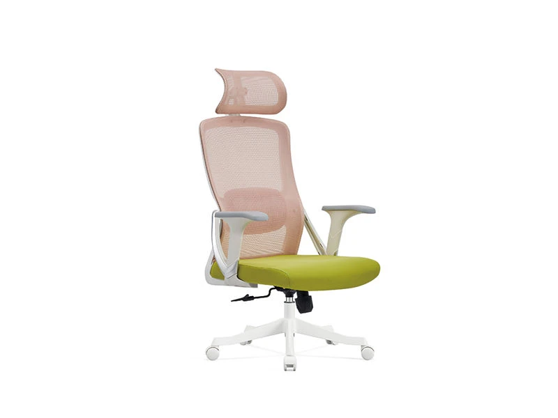 Task Chair with 2D Headrest | Standing Desk Office Chair