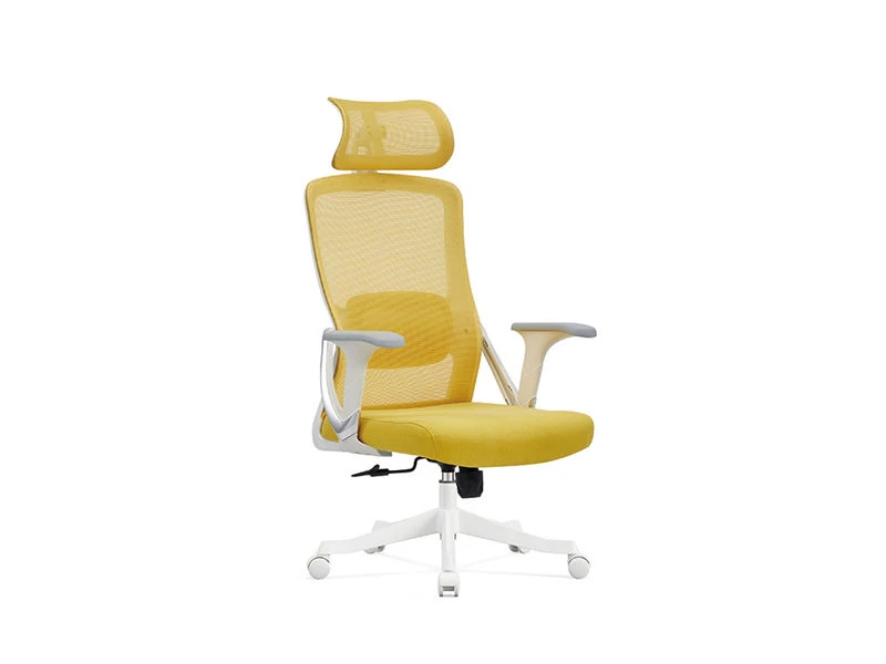 Task Chair with 2D Headrest | Standing Desk Office Chair
