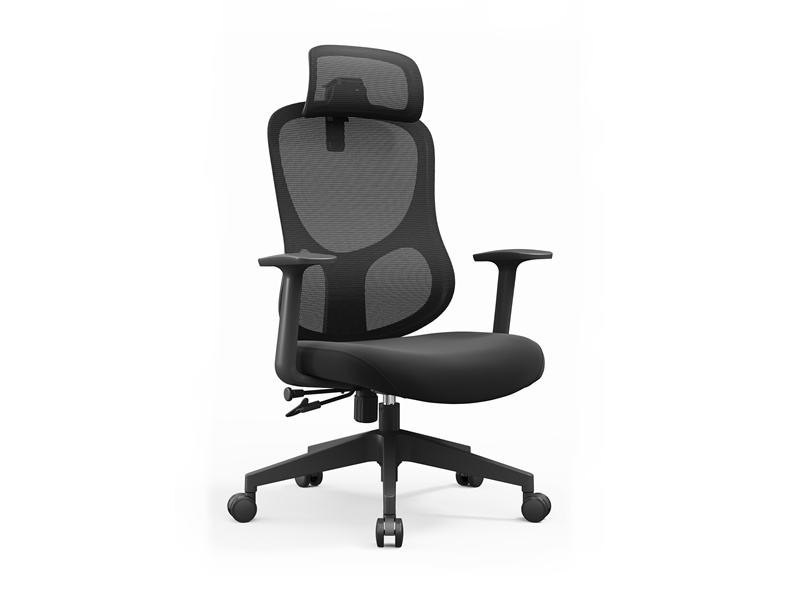 Multi functional Ergo Task Chair for Office Furniture Distributor