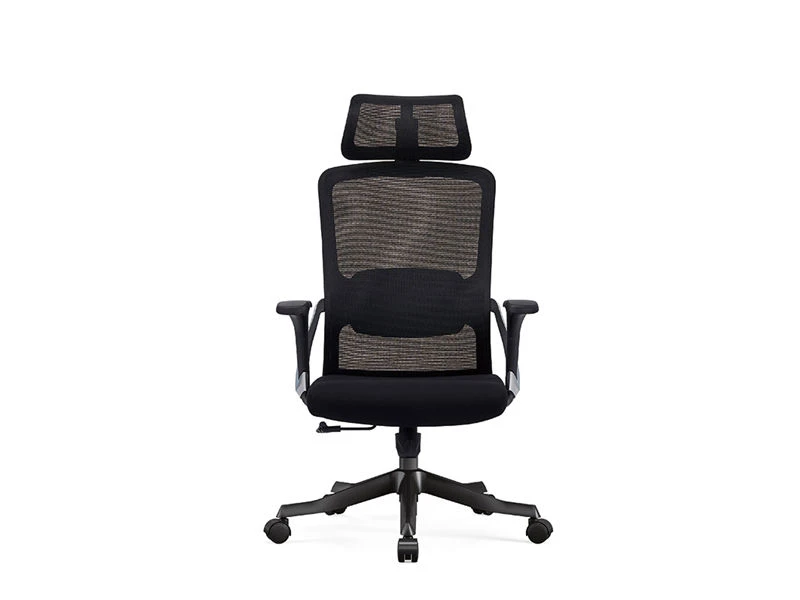Task Chair with 2D Headrest | Standing Desk Office Chair