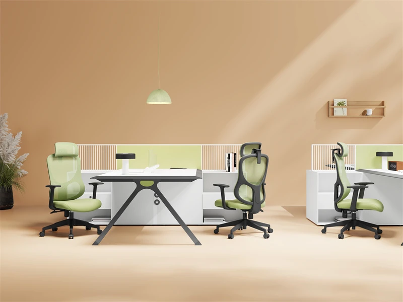Multi functional Ergo Task Chair for Office Furniture Distributor