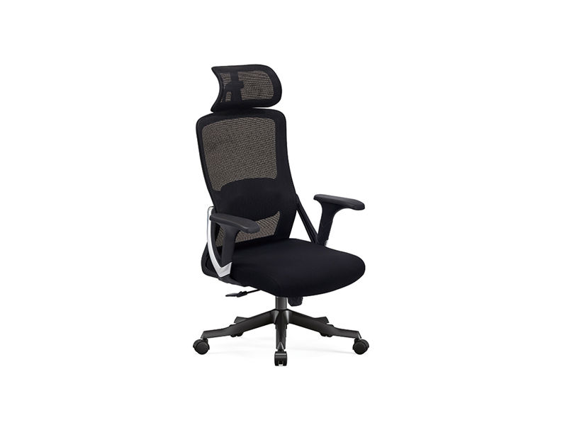 Task Chair with 2D Headrest | Standing Desk Office Chair