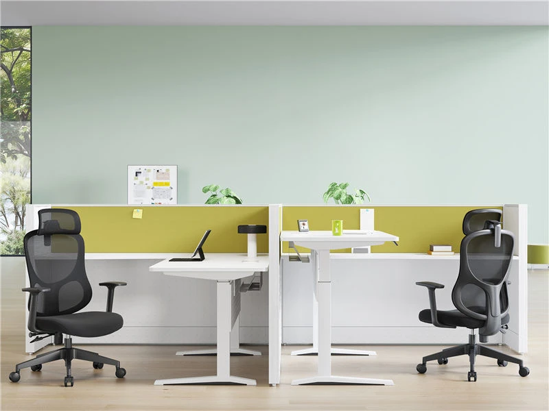 Multi functional Ergo Task Chair for Office Furniture Distributor