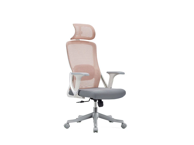 Task Chair with 2D Headrest | Standing Desk Office Chair