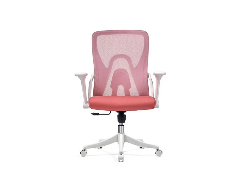 Mid-Back Ergonomic Office Chairs & Desk Seating