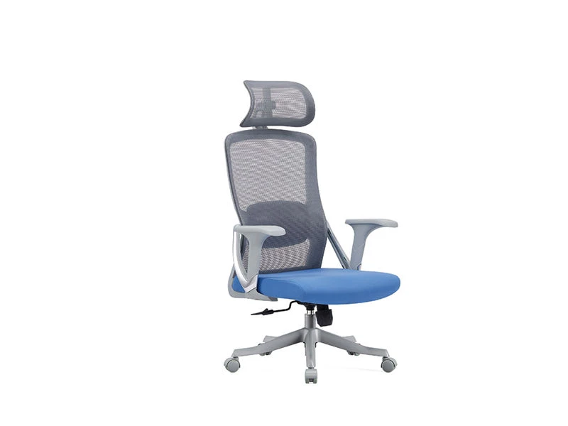 Task Chair with 2D Headrest | Standing Desk Office Chair