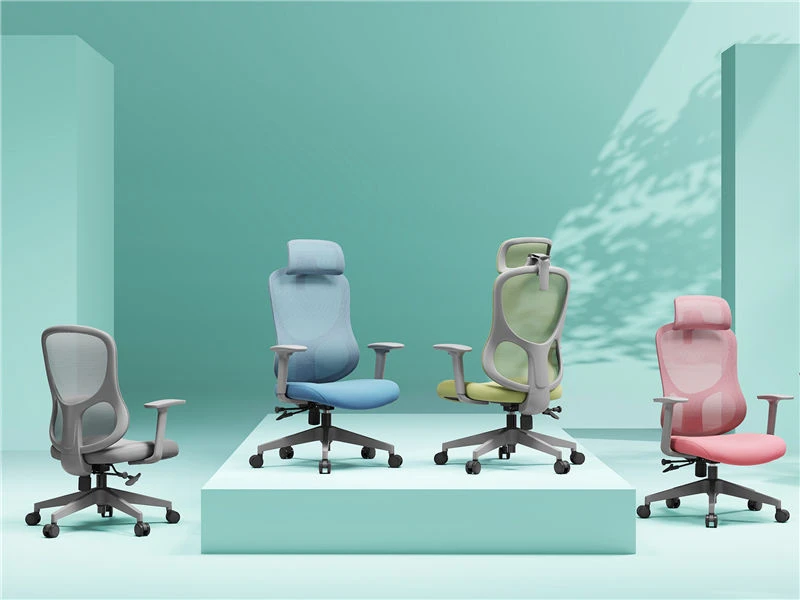 Multi functional Ergo Task Chair for Office Furniture Distributor