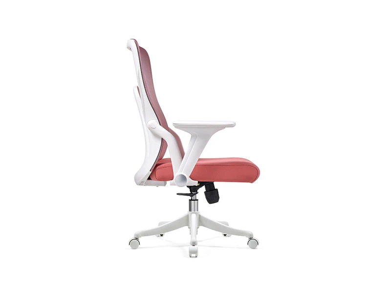 Mid-Back Ergonomic Office Chairs & Desk Seating