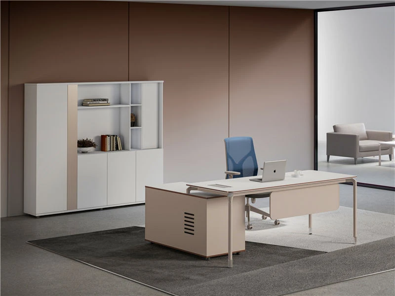 Minimalist Executive Computer Desk with Drawer & Side Cabinet