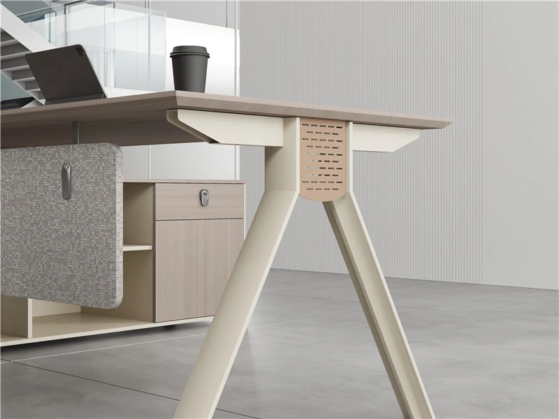 Modern Minimalist Executive Desk for Women Leaders