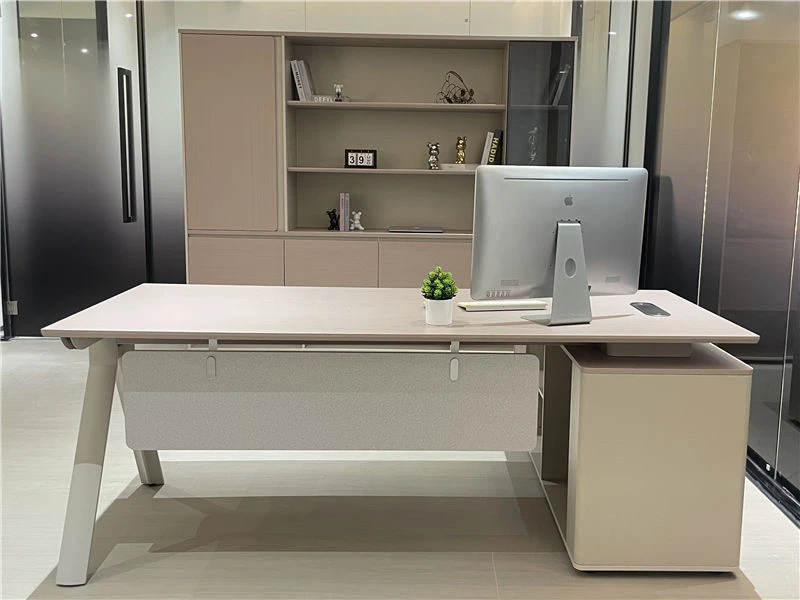 Modern Minimalist Executive Desk for Women Leaders