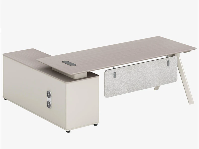 Modern Minimalist Executive Desk for Women Leaders