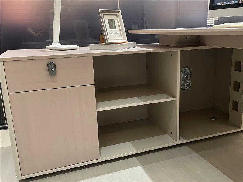 Modern Minimalist Executive Desk for Women Leaders