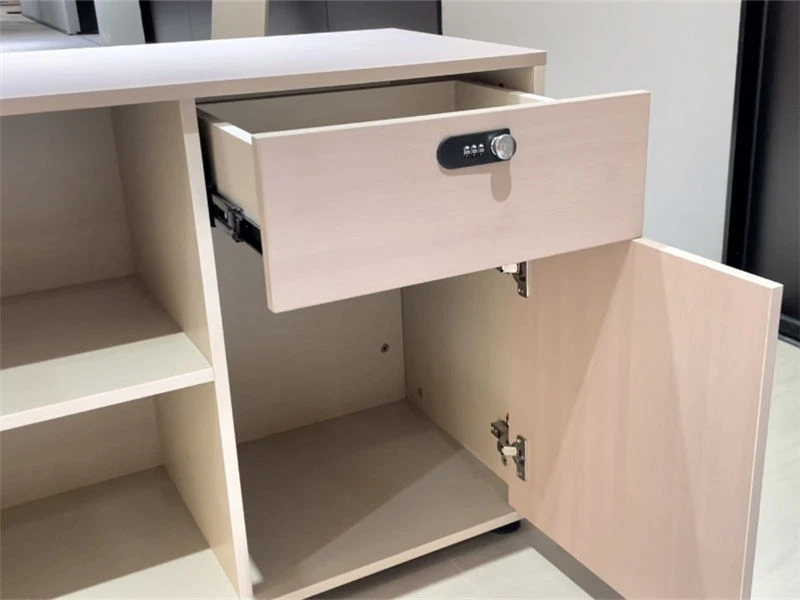 Modern Minimalist Executive Desk for Women Leaders