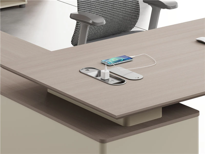 Modern Minimalist Executive Desk for Women Leaders