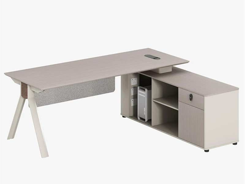 Modern Minimalist Executive Desk for Women Leaders