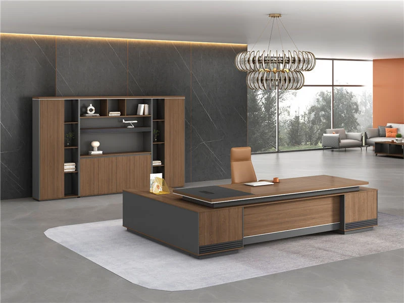 Executive Combination File Cabinet | Modern Office Shelf Hutch