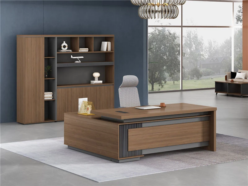 Executive Combination File Cabinet | Modern Office Shelf Hutch