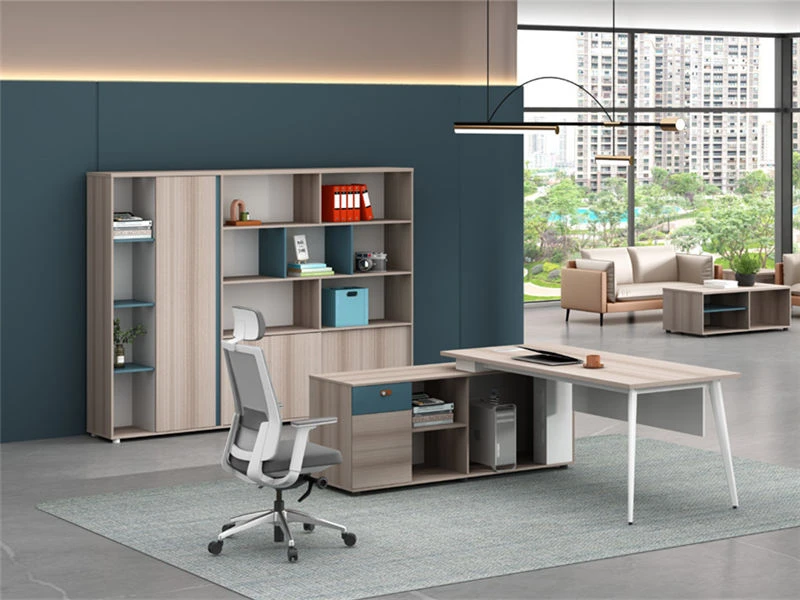 Bookcase and File Cabinet Combination | Executive File Cabinet