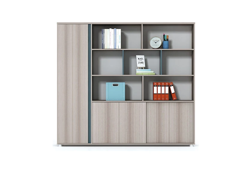 Bookcase and File Cabinet Combination | Executive File Cabinet