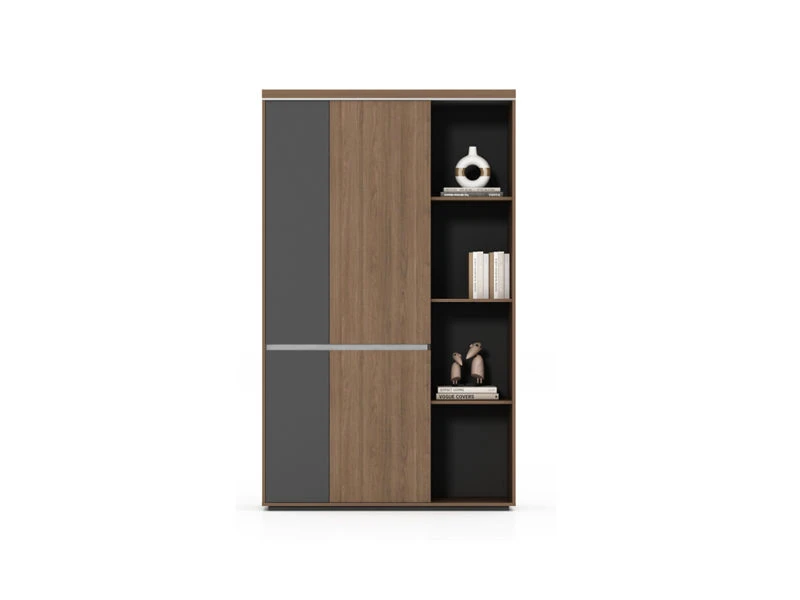 Executive Combination File Cabinet | Modern Office Shelf Hutch