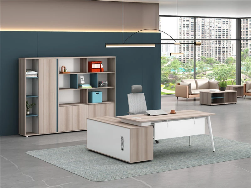 Bookcase and File Cabinet Combination | Executive File Cabinet