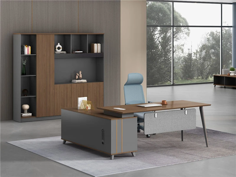 Executive Combination File Cabinet | Modern Office Shelf Hutch