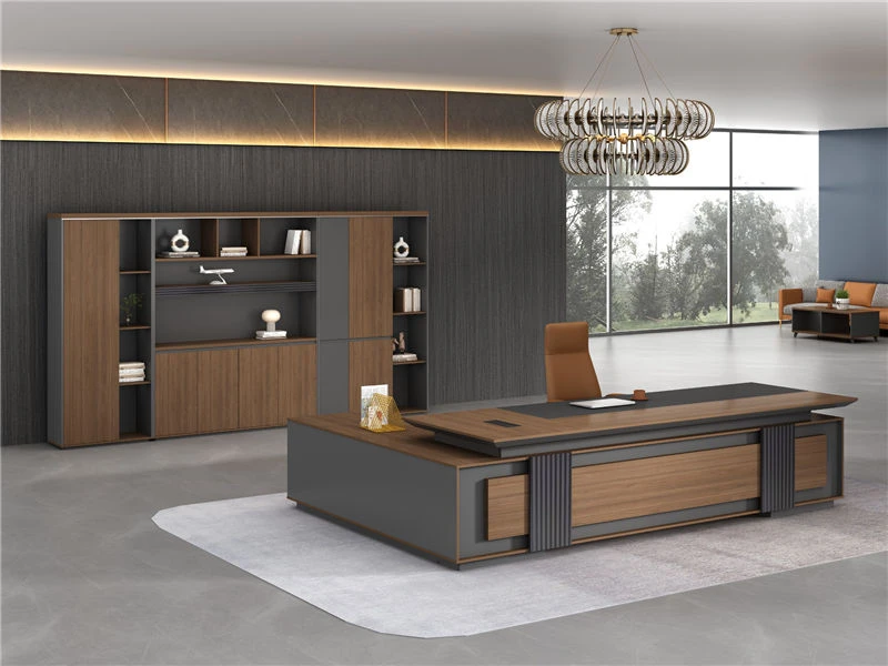 Executive Combination File Cabinet | Modern Office Shelf Hutch