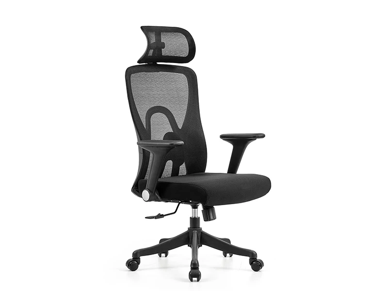 Ergonomic Mesh Office Chair | High Back Desk Chair with Lumbar Support