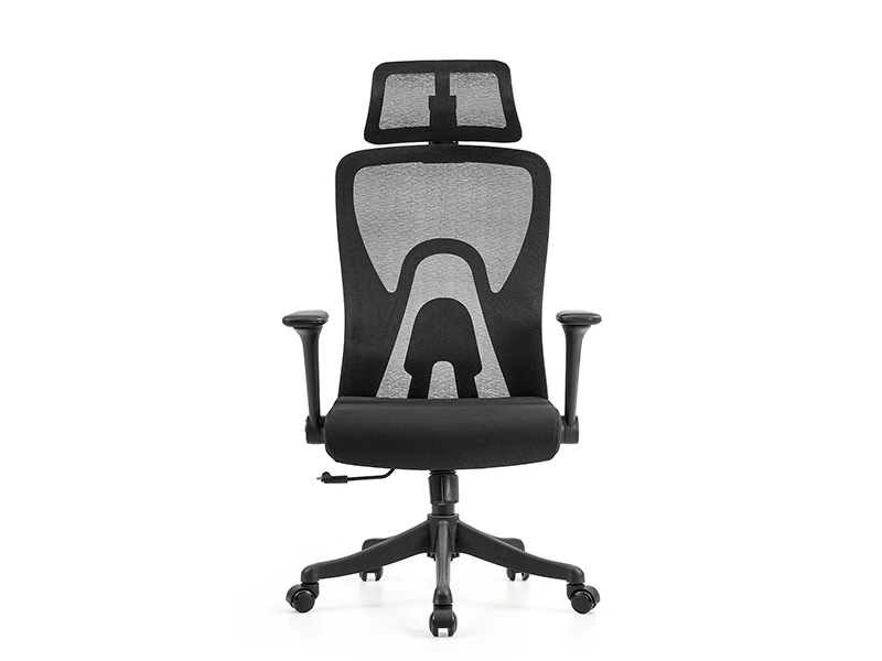 Ergonomic Mesh Office Chair | High Back Desk Chair with Lumbar Support