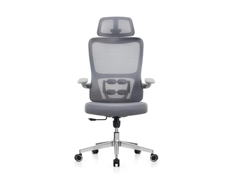 Gray Ergonomic Mesh Office Chair with Adjustable Headrest and Lumbar Support